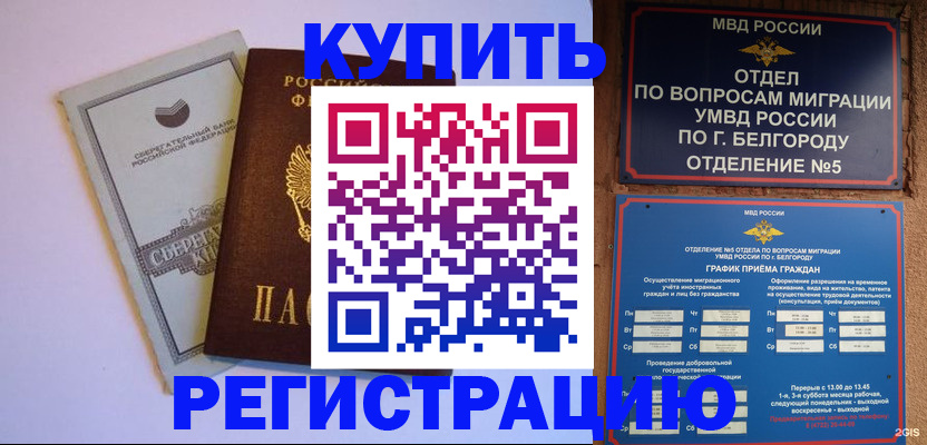 прописка гарантия в Новозыбкове